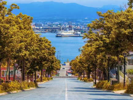 全景北海道深度 9 天 8 晚