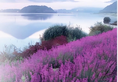 （成都CA-6天）【韵享和风】紫の浪漫~日本本州三古都温泉6日-新